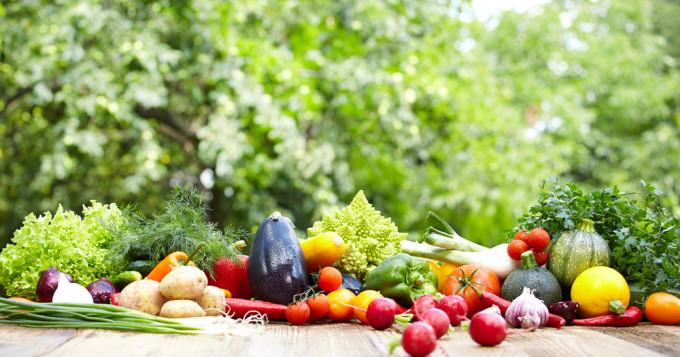 Autonomie alimentaire christian panico